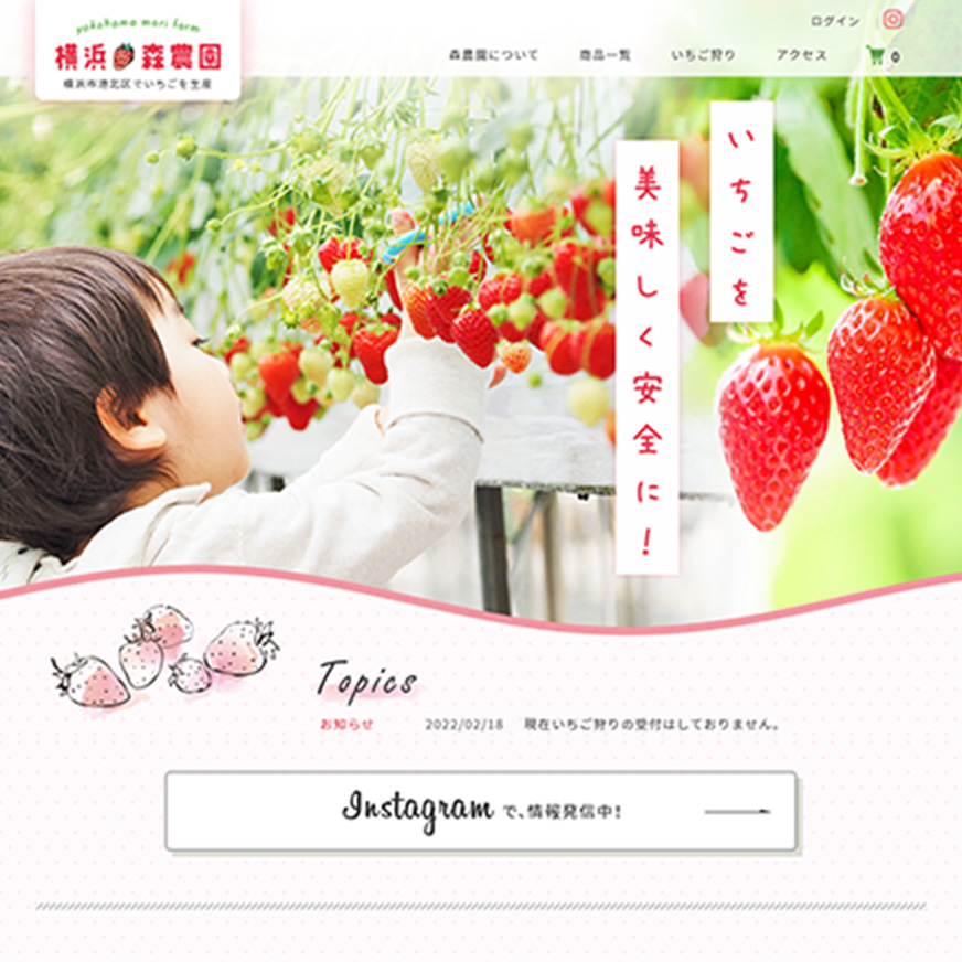 ECサイト(カラーミー)